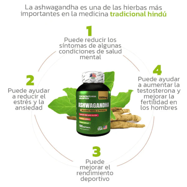 ASHWAGANDHA: Energía para tu cuerpo y mente 🧠