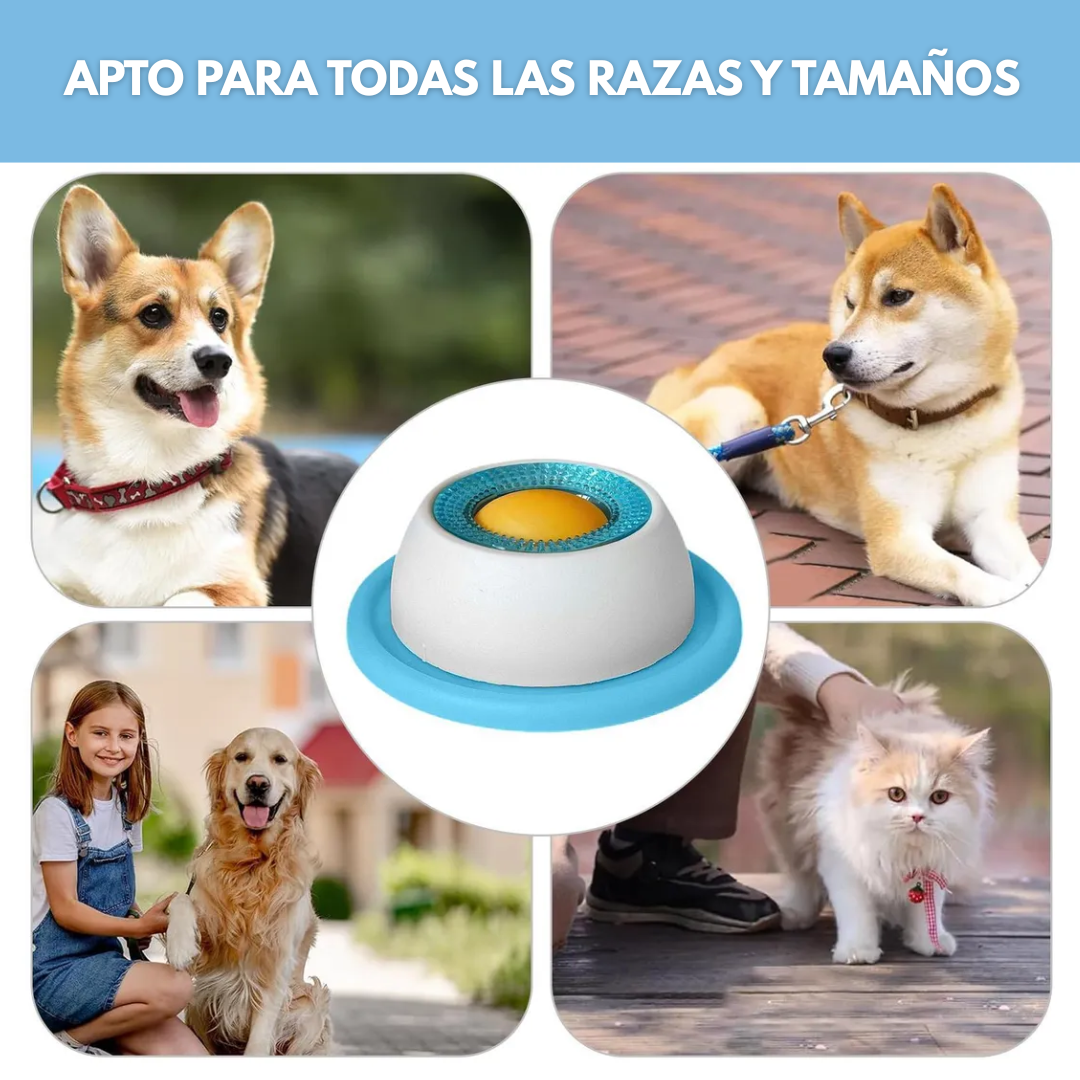 Plato de Lamido Antiestrés - Promueve la salud dental y la estimulación mental
